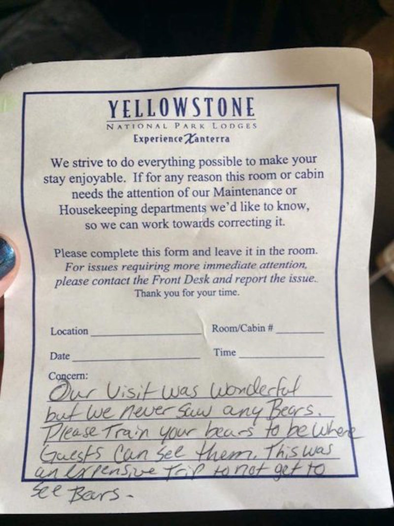 Illustration for article titled Tourist Unclear On Concept Of Wild Animals Demands Yellowstone Provide Better Bears